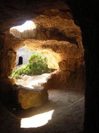 open dharma meditation retreat